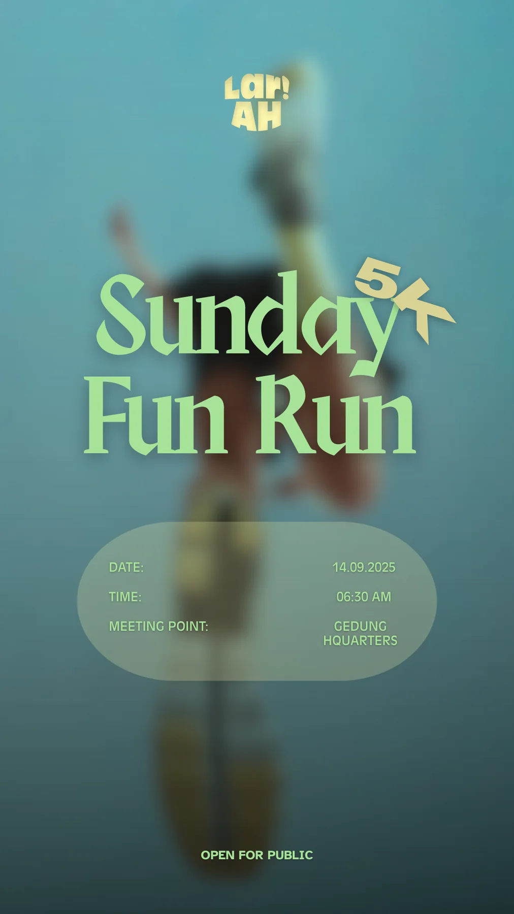 LariAH story fun run poster